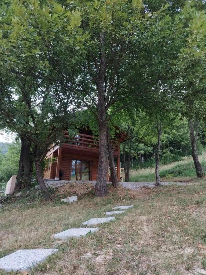 Kuca U Sumi - Forest House Near National Park Una - Air Spa Lohovo Bihać エクステリア 写真