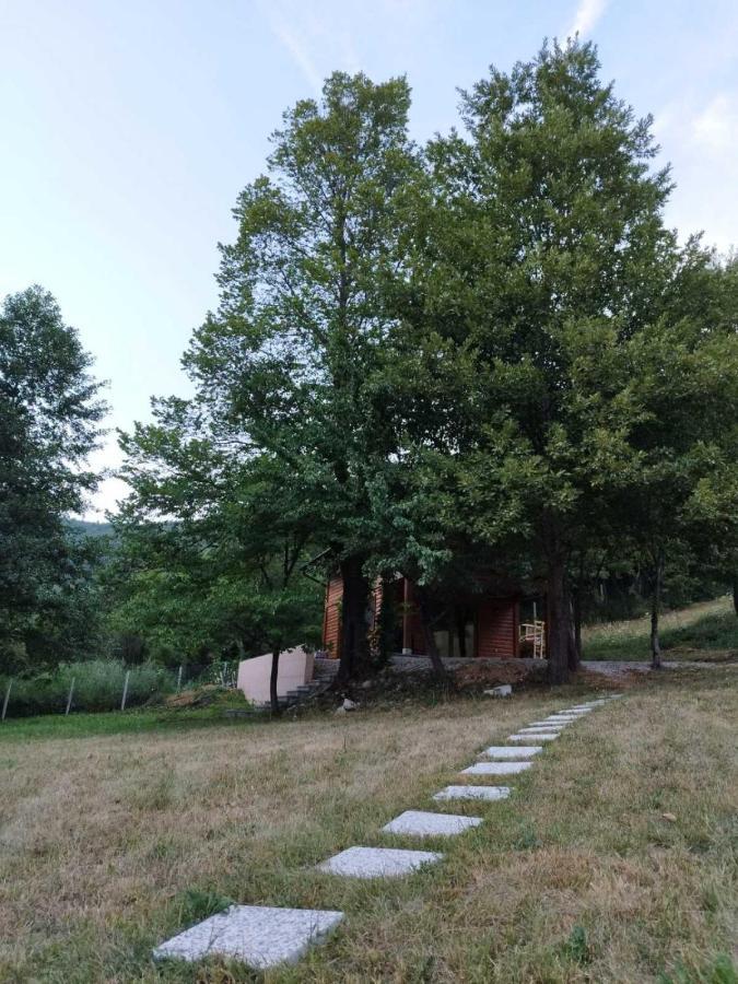 Kuca U Sumi - Forest House Near National Park Una - Air Spa Lohovo Bihać エクステリア 写真