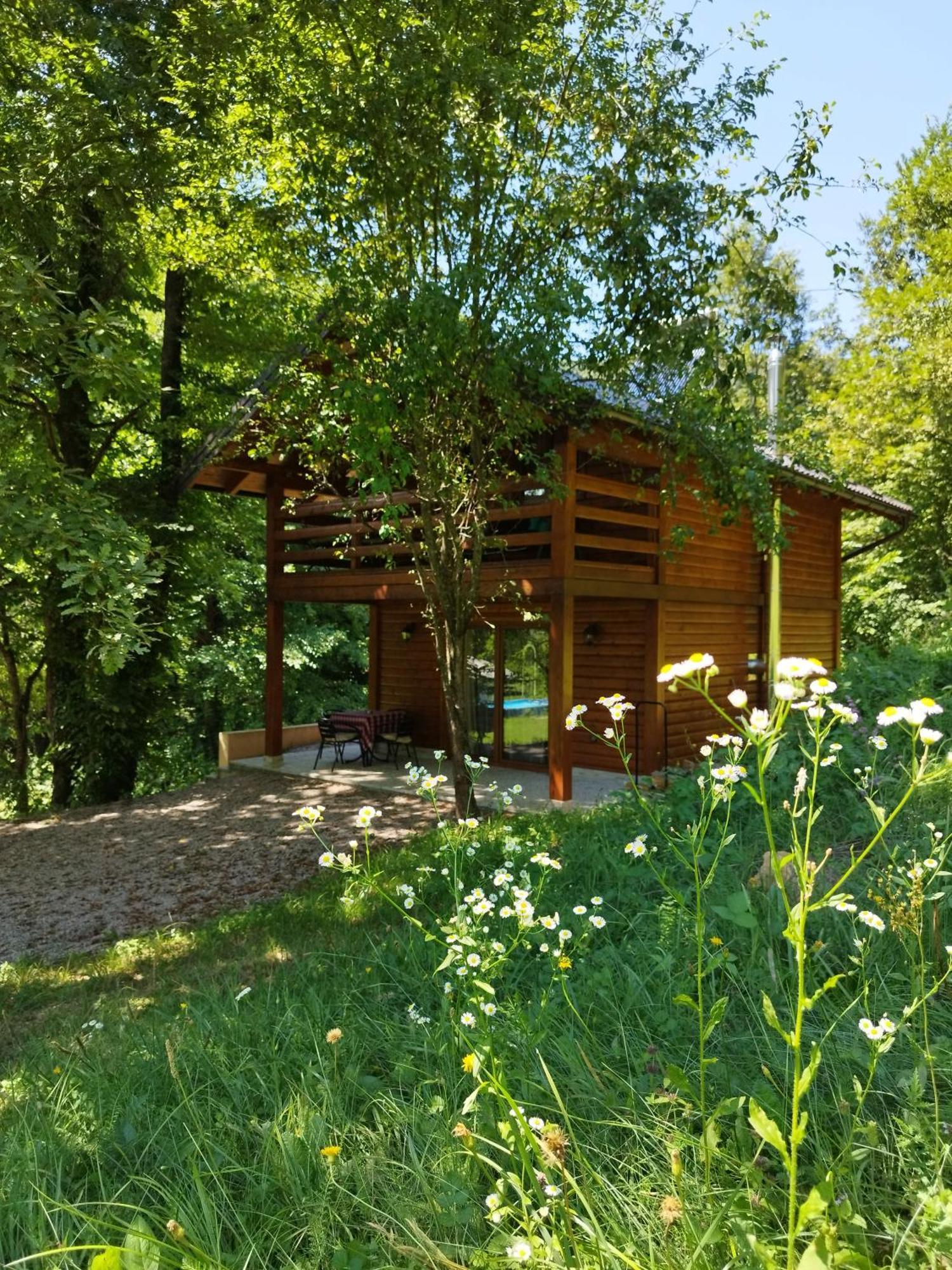 Kuca U Sumi - Forest House Near National Park Una - Air Spa Lohovo Bihać エクステリア 写真